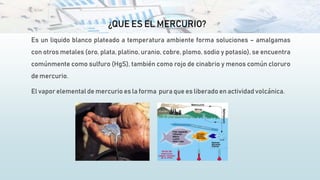 ¿QUE ES EL MERCURIO?
Es un liquido blanco plateado a temperatura ambiente forma soluciones – amalgamas
con otros metales (oro, plata, platino, uranio, cobre, plomo, sodio y potasio), se encuentra
comúnmente como sulfuro (HgS), también como rojo de cinabrio y menos común cloruro
de mercurio.
El vapor elemental de mercurio es la forma pura que es liberado en actividad volcánica.
 
