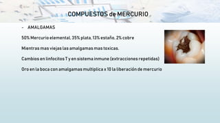 COMPUESTOS de MERCURIO
- AMALGAMAS
50% Mercurio elemental, 35% plata, 13% estaño, 2% cobre
Mientras mas viejas las amalgamasmas toxicas.
Cambios en linfocitos T y en sistema inmune (extracciones repetidas)
Oro en la boca con amalgamas multiplica x 10 la liberación de mercurio
 