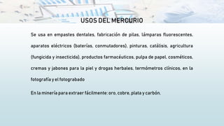USOS DEL MERCURIO
Se usa en empastes dentales, fabricación de pilas, lámparas fluorescentes,
aparatos eléctricos (baterías, conmutadores), pinturas, catálisis, agricultura
(fungicida y insecticida), productos farmacéuticos, pulpa de papel, cosméticos,
cremas y jabones para la piel y drogas herbales, termómetros clínicos, en la
fotografía y el fotograbado
En la minería para extraer fácilmente: oro, cobre, plata y carbón.
 
