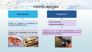 FUENTES: MERCURIO
Dieta pescado
Cocinar el pescado no disminuye el
contenido de Metilmercurio
Tambien hay compuestos de mercurio
inorgánico
Ocupacional
- Clínicas dentales
- Dispositivos médicos
Extracción de oro en países subdesarrollados. Se forma
amalgama con el oro y luego se calienta para apartar el mercurio,
que luego se libera a la atmosfera.
 