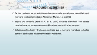 MERCURIO Y ALZHEIMER
 Se han realizado varios estudios en los que se relaciona el papel neurotóxico del
mercurio con la enfermedad de Alzheimer (Mutter J., et al. 2010)
 Según una revisión (Hofman A. et al. 2006) estudios científicos con tejidos
cerebrales de personasenfermas de Alzheimertras realizarles autopsia.
 Estudios realizados in vitro han demostrado que el mercurio reproduce todos los
cambios patológicos de la enfermedad de Alzheimer.
 