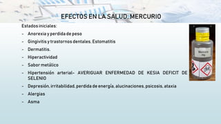 EFECTOS EN LA SALUD: MERCURIO
Estados iniciales:
- Anorexia y perdida de peso
- Gingivitisy trastornos dentales. Estomatitis
- Dermatitis.
- Hiperactividad
- Sabor metálico
- Hipertensión arterial- AVERIGUAR ENFERMEDAD DE KESIA DEFICIT DE
SELENIO
- Depresión, irritabilidad, perdida de energía, alucinaciones,psicosis, ataxia
- Alergias
- Asma
 