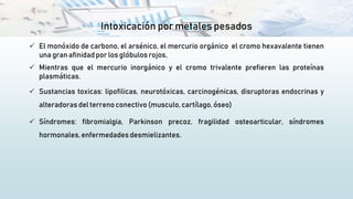 Intoxicación por metales pesados
 El monóxido de carbono, el arsénico, el mercurio orgánico el cromo hexavalente tienen
una gran afinidad por los glóbulos rojos,
 Mientras que el mercurio inorgánico y el cromo trivalente prefieren las proteínas
plasmáticas.
 Sustancias toxicas: lipofilicas, neurotóxicas, carcinogénicas, disruptoras endocrinas y
alteradoras del terreno conectivo (musculo,cartílago, óseo)
 Síndromes: fibromialgia, Parkinson precoz, fragilidad osteoarticular, síndromes
hormonales,enfermedadesdesmielizantes.
 