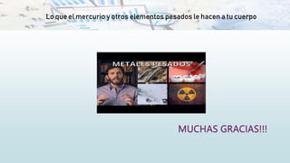Lo que el mercurio y otros elementos pesados le hacen a tu cuerpo
 