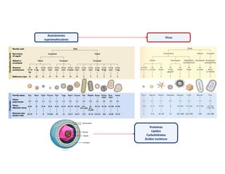 Asociaciones
supramoleculares
Virus
Proteínas
Lípidos
Carbohidratos
Ácidos nucleicos
 