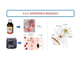 4.2.3. IMPORTANCIA BIOLÓGICA
 
