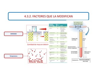 4.3.2. FACTORES QUE LA MODIFICAN
DENSIDAD
Cantidad de masa en determinado volumen
OSMOLARIDAD
Cantidad de osmolitos activos
Temperatura
 