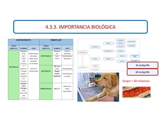 4.3.3. IMPORTANCIA BIOLÓGICA
Sangre = 40 milipoises
45 mL/kg/24h
60 mL/kg/24h
 
