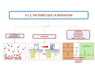 4.1.1. FACTORES QUE LA MODIFICAN
INVERSAMENTE
PROPORCIONAL A T° HIPSÓTONAS
BATÓTONAS
TENSOACTIVAS
EMULSIONANTES
SURFACTANTES
"Surface active agent"
FOSFOLÍPIDOS
ALCOHOLES
JABONES
 