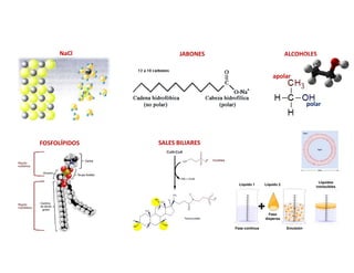 polar
apolar
ALCOHOLES
FOSFOLÍPIDOS
JABONES
NaCl
SALES BILIARES
 