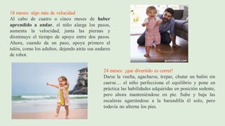 18 meses: algo más de velocidad
Al cabo de cuatro o cinco meses de haber
aprendido a andar, el niño alarga los pasos,
aumenta la velocidad, junta las piernas y
disminuye el tiempo de apoyo entre dos pasos.
Ahora, cuando da un paso, apoya primero el
talón, como los adultos, dejando atrás sus andares
de robot.
24 meses: ¡que divertido es correr!
Darse la vuelta, agacharse, trepar, chutar un balón sin
caerse… el niño perfecciona el equilibrio y pone en
práctica las habilidades adquiridas en posición sedente,
pero ahora manteniéndose en pie. Sube y baja las
escaleras agarrándose a la barandilla él solo, pero
todavía no alterna los pies.
 