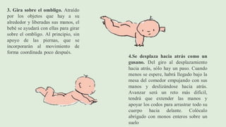 3. Gira sobre el ombligo. Atraído
por los objetos que hay a su
alrededor y liberadas sus manos, el
bebé se ayudará con ellas para girar
sobre el ombligo. Al principio, sin
apoyo de las piernas, que se
incorporarán al movimiento de
forma coordinada poco después.
4.Se desplaza hacia atrás como un
gusano. Del giro al desplazamiento
hacia atrás, sólo hay un paso. Cuando
menos se espere, habrá llegado bajo la
mesa del comedor empujando con sus
manos y deslizándose hacia atrás.
Avanzar será un reto más difícil,
tendrá que extender las manos y
apoyar los codos para arrastrar todo su
cuerpo hacia delante. Colócalo
abrigado con monos enteros sobre un
suelo
 