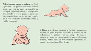 5.Repta como un pequeño lagarto. En el
“gusanito” las piernas quedaban quietas
como una cola de pez. La emoción de
perseguir juguetes hará que el bebé patalee
emocionado y poco a poco, coordine sus
movimientos hasta dar forma a un reptado
en el que avanzará, alternando, mano y
rodilla contrarias
6. Gatea y se sienta. Levantar la barriga y ponerse en
postura de gateo requiere equilibrio y tensión en los
abdominales y glúteos. Tras un tiempo de jugar a
mecerse y canturrear en esta posición, como calentando
motores, podrás ver a el bebé avanzar ligeramente las
manos y arrastrar las rodillas detrás.
 