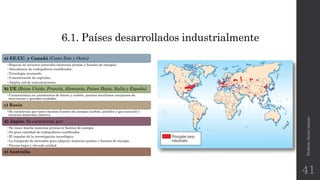 6.1. Países desarrollados industrialmente
a) EE.UU. y Canadá (Costa Este y Oeste)
•Riqueza de recursos naturales (materias primas y fuentes de energía).
•Abundancia de trabajadores cualificados.
•Tecnología avanzada.
•Concentración de capitales.
•Amplia red de comunicaciones.
b) UE (Reino Unido, Francia, Alemania, Países Bajos, Italia y España)
•Característica en yacimientos de hierro y carbón, puertos marítimos receptores de
mercancías y grandes ciudades.
c) Rusia
•Se caracteriza por tener muchas fuentes de energía (carbón, petróleo y gas natural) y
recursos minerales (hierro).
d) Japón. Se caracteriza por:
•No tener mucha materias primas ni fuentes de energía.
•Su gran cantidad de trabajadores cualificados.
•El impulso de la investigación tecnológica.
•La búsqueda de mercados para adquirir materias primas y fuentes de energía.
•Precios bajos y elevada calidad.
e) Australia
Profesor:JavierAnzano
41
 