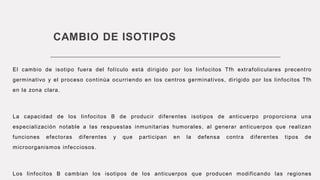 CAMBIO DE ISOTIPOS
El cambio de isotipo fuera del folículo está dirigido por los linfocitos Tfh extrafoliculares precentro
germinativo y el proceso continúa ocurriendo en los centros germinativos, dirigido por los linfocitos Tfh
en la zona clara.
La capacidad de los linfocitos B de producir diferentes isotipos de anticuerpo proporciona una
especialización notable a las respuestas inmunitarias humorales, al generar anticuerpos que realizan
funciones efectoras diferentes y que participan en la defensa contra diferentes tipos de
microorganismos infecciosos.
Los linfocitos B cambian los isotipos de los anticuerpos que producen modificando las regiones
 