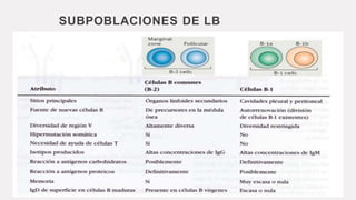 SUBPOBLACIONES DE LB
 
