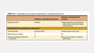 I munologia.            LINFOCITOS B.pdf