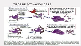 TIPOS DE ACTIVACION DE LB
 