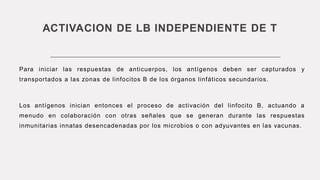 ACTIVACION DE LB INDEPENDIENTE DE T
Para iniciar las respuestas de anticuerpos, los antígenos deben ser capturados y
transportados a las zonas de linfocitos B de los órganos linfáticos secundarios.
Los antígenos inician entonces el proceso de activación del linfocito B, actuando a
menudo en colaboración con otras señales que se generan durante las respuestas
inmunitarias innatas desencadenadas por los microbios o con adyuvantes en las vacunas.
 