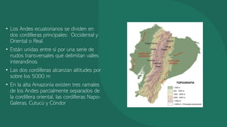 • Los Andes ecuatorianos se dividen en
dos cordilleras principales: Occidental y
Oriental o Real.
• Están unidas entre sí por una serie de
nudos transversales que delimitan valles
interandinos.
• Las dos cordilleras alcanzan altitudes por
sobre los 5000 m
• En la alta Amazonía existen tres ramales
de los Andes parcialmente separados de
la cordillera oriental, las cordilleras Napo-
Galeras, Cutucú y Cóndor
 