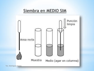 unidad 4 - DIAPOS Tipos de siembras.pptx