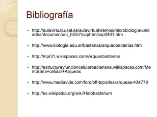 Bibliografía
   http://aulavirtual.usal.es/aulavirtual/demos/microbiologia/unid
    ades/documen/uni_02/57/caphtm/cap0401.htm

   http://www.biologia.edu.ar/bacterias/arqueobacterias.htm

   http://mpr31.wikispaces.com/Arqueobacterias

   http://estructurayfuncioncelularbacteriana.wikispaces.com/Me
    mbrana+celular+Arqueas

   http://www.mediavida.com/foro/off-topic/las-arqueas-434778

   http://es.wikipedia.org/wiki/Halobacterium
 