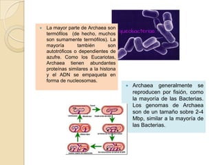    La mayor parte de Archaea son
    termófilos (de hecho, muchos
    son sumamente termófilos). La
    mayoría       también        son
    autotróficos o dependientes de
    azufre. Como los Eucariotas,
    Archaea tienen abundantes
    proteínas similares a la histona
    y el ADN se empaqueta en
    forma de nucleosomas.
                                          Archaea generalmente se
                                           reproducen por fisión, como
                                           la mayoría de las Bacterias.
                                           Los genomas de Archaea
                                           son de un tamaño sobre 2-4
                                           Mbp, similar a la mayoría de
                                           las Bacterias.
 