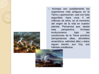     Archaea son posiblemente los
    organismos más antiguos en la
    Tierra y aparecerían, casi con toda
    seguridad, hace unos 4 mil
    millones de años, en el momento
    del origen de la vida en nuestro
    planeta. Pensemos que, desde
    esta      perspectiva,     Archaea
    evolucionaron         bajo       las
    condiciones de la Tierra primitiva
    (temperaturas altas, atmósfera
    anaeróbica, salinidad alta) y éstos
    siguen siendo, aun hoy, sus
    hábitats predilectos.
 