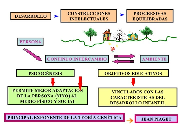 Piaget: Teoría Psicogenética del Aprendizaje