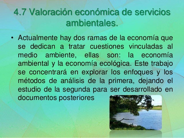 Unidad 4 desarrollo