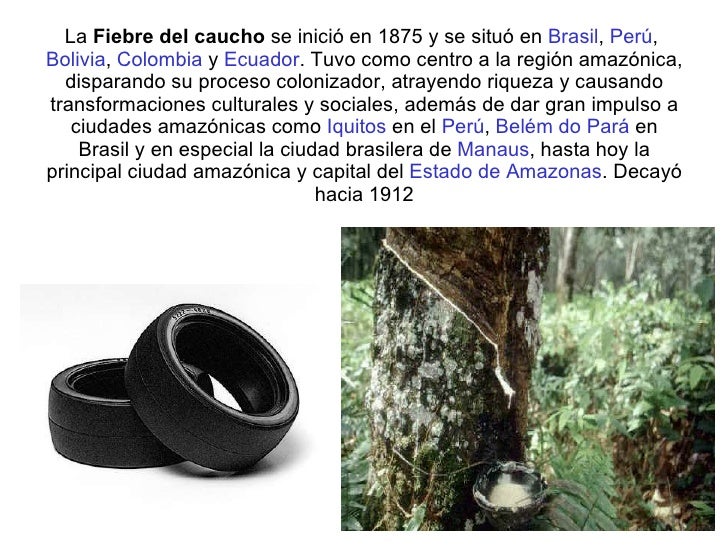 Image result for la fibre del caucho mapa mental