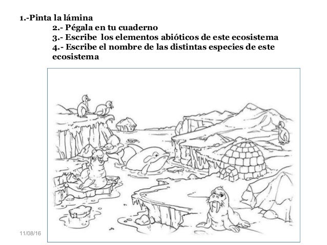 Resultado de imagen para Los componentes abióticos PARA COLOREAR