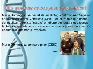 María Domínguez, especialista en Biología del Consejo Superior
de Investigaciones Científicas (CSIC), en el trabajo que acaba
de publicar la revista “nature” en el que demuestra que ciertos
factores epigenéticos son capaces de desencadenar la aparición
de tumores altamente invasivos.
María Domínguez con su equipo (CSIC)
 