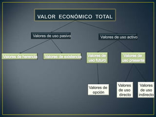 Valores de uso pasivo

Valores de uso activo

Valores de
opción

Valores
de uso
directo

Valores
de uso
indirecto

 