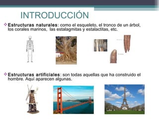 INTRODUCCIÓN
 Estructuras naturales : como el esqueleto, el tronco de un árbol,
los corales marinos,  las estalagmitas y estalactitas, etc.

 Estructuras artificiales : son todas aquellas que ha construido el
hombre. Aquí aparecen algunas.

 