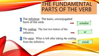 The infinitive: The basic, unconjugated
form of the verb. estudiar
THE FUNDAMENTAL
PARTS OF THE VERB
The ending: The last two letters of the
infinitive.
The stem: What is left after taking the ending
from the infinitive.
ar
estudi
 