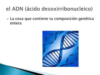  La cosa que contiene tu composición genética
entera
 