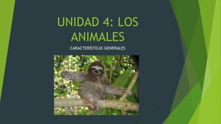 UNIDAD 4: LOS
ANIMALES
CARACTERÍSTICAS GENERALES
 