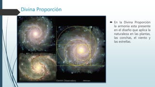 Divina Proporción
 En la Divina Proporción
la armonía esta presente
en el diseño que aplica la
naturaleza en las plantas,
las conchas, el viento y
las estrellas.
 