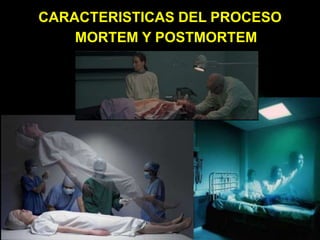 CARACTERISTICAS DEL PROCESO
MORTEM Y POSTMORTEM
 