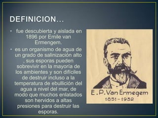 • fue descubierta y aislada en
1896 por Emile van
Ermengem.
• es un organismo de agua de
un grado de salinización alto
, sus esporas pueden
sobrevivir en la mayoría de
los ambientes y son difíciles
de destruir incluso a la
temperatura de ebullición del
agua a nivel del mar, de
modo que muchos enlatados
son hervidos a altas
presiones para destruir las
esporas.
 