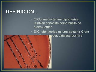 • El Corynebacterium diphtheriae,
también conocido como bacilo de
Klebs-Löffler
• El C. diphtheriae es una bacteria Gram
positiva, aerobia, catalasa positiva
 