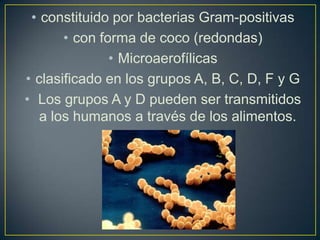 • constituido por bacterias Gram-positivas
• con forma de coco (redondas)
• Microaerofílicas
• clasificado en los grupos A, B, C, D, F y G
• Los grupos A y D pueden ser transmitidos
a los humanos a través de los alimentos.
 