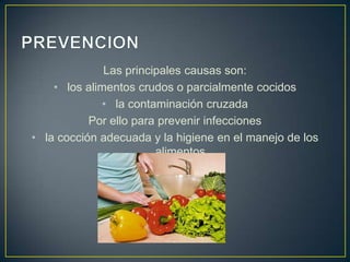 Las principales causas son:
• los alimentos crudos o parcialmente cocidos
• la contaminación cruzada
Por ello para prevenir infecciones
• la cocción adecuada y la higiene en el manejo de los
alimentos
 