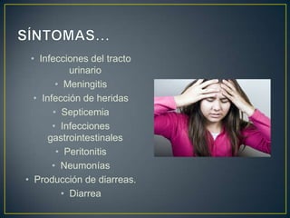 • Infecciones del tracto
urinario
• Meningitis
• Infección de heridas
• Septicemia
• Infecciones
gastrointestinales
• Peritonitis
• Neumonías
• Producción de diarreas.
• Diarrea
 