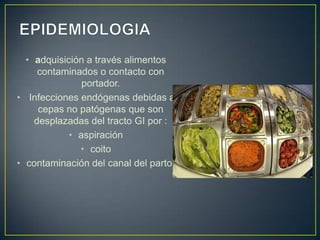 • adquisición a través alimentos
contaminados o contacto con
portador.
• Infecciones endógenas debidas a
cepas no patógenas que son
desplazadas del tracto GI por :
• aspiración
• coito
• contaminación del canal del parto.
 