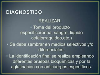 REALIZAR:
• Toma del producto
especifico(orina, sangre, liquido
cefalorraquideo,etc.)
• Se debe sembrar en medios selectivos y/o
diferenciales.
• La identificación final se realiza empleando
diferentes pruebas bioquímicas y por la
aglutinación con anticuerpos específicos.
 