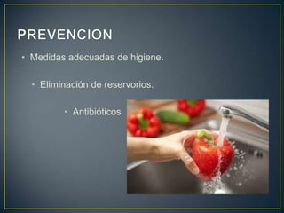 • Medidas adecuadas de higiene.
• Eliminación de reservorios.
• Antibióticos
 
