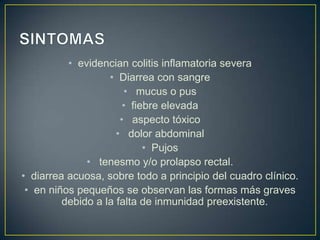 • evidencian colitis inflamatoria severa
• Diarrea con sangre
• mucus o pus
• fiebre elevada
• aspecto tóxico
• dolor abdominal
• Pujos
• tenesmo y/o prolapso rectal.
• diarrea acuosa, sobre todo a principio del cuadro clínico.
• en niños pequeños se observan las formas más graves
debido a la falta de inmunidad preexistente.
 