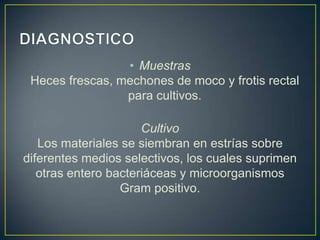 • Muestras
Heces frescas, mechones de moco y frotis rectal
para cultivos.
Cultivo
Los materiales se siembran en estrías sobre
diferentes medios selectivos, los cuales suprimen
otras entero bacteriáceas y microorganismos
Gram positivo.
 